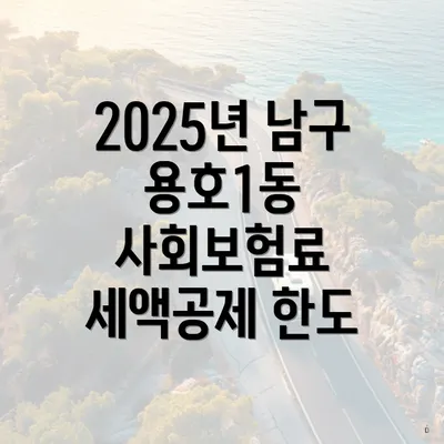2025년 남구 용호1동 사회보험료 세액공제 한도