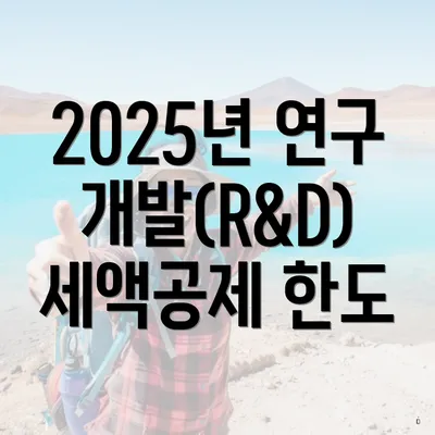 2025년 연구개발(R&D) 세액공제 한도