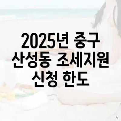 2025년 중구 산성동 조세지원 신청 한도