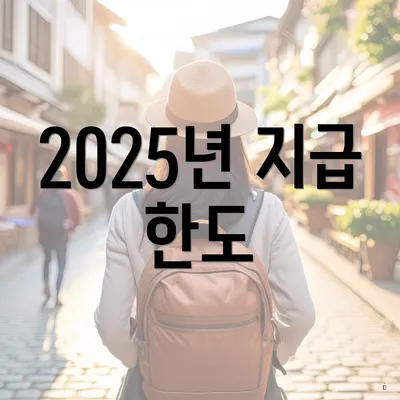 2025년 지급 한도