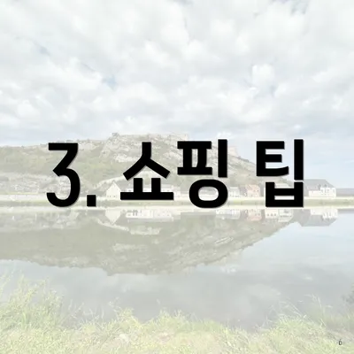 3. 쇼핑 팁