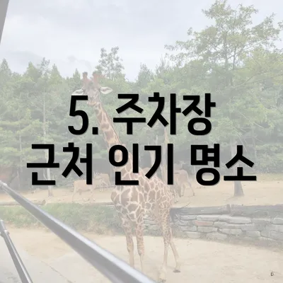 5. 주차장 근처 인기 명소
