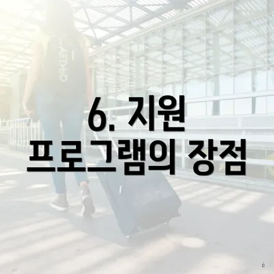 6. 지원 프로그램의 장점