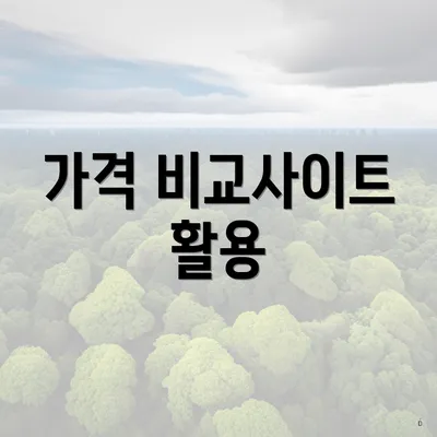 가격 비교사이트 활용