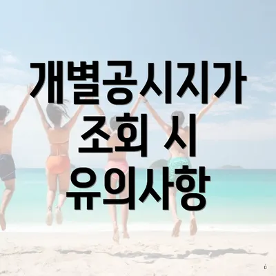 개별공시지가 조회 시 유의사항