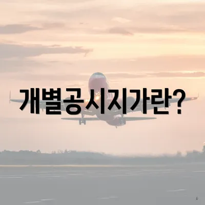 개별공시지가란?