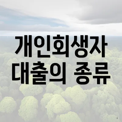 개인회생자 대출의 종류