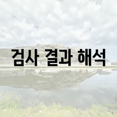 검사 결과 해석