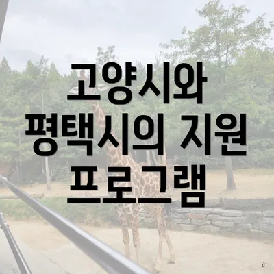 고양시와 평택시의 지원 프로그램