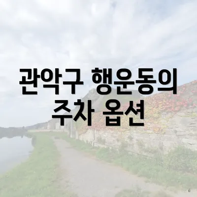 관악구 행운동의 주차 옵션