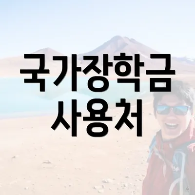 국가장학금 사용처