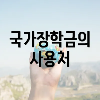 국가장학금의 사용처