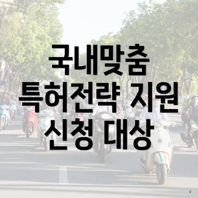 국내맞춤 특허전략 지원 신청 대상