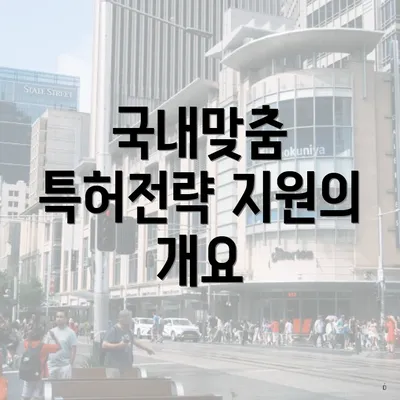 국내맞춤 특허전략 지원의 개요