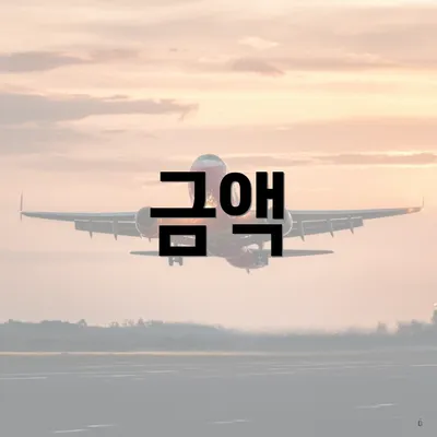금액