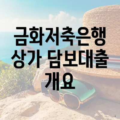 금화저축은행 상가 담보대출 개요