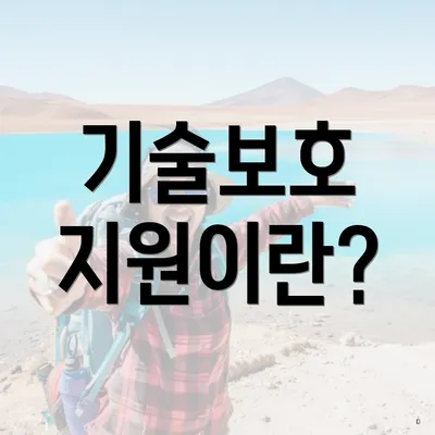 기술보호 지원이란?