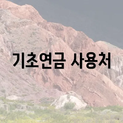 기초연금 사용처