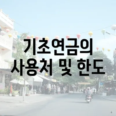 기초연금의 사용처 및 한도