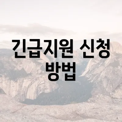 긴급지원 신청 방법