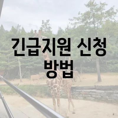 긴급지원 신청 방법