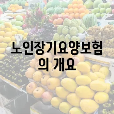 노인장기요양보험의 개요