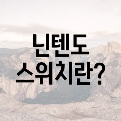 닌텐도 스위치란?