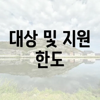 대상 및 지원 한도