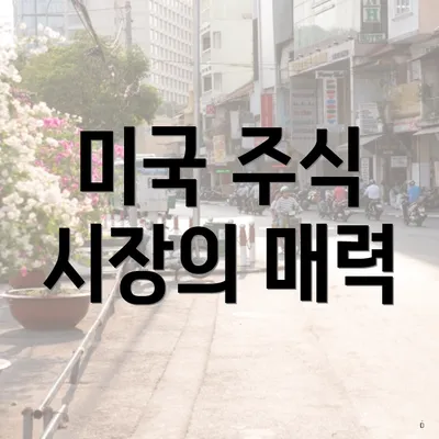 미국 주식 시장의 매력