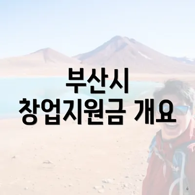 부산시 창업지원금 개요
