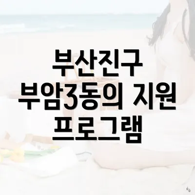 부산진구 부암3동의 지원 프로그램