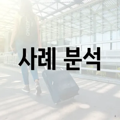 사례 분석