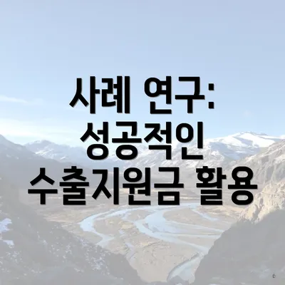 사례 연구: 성공적인 수출지원금 활용