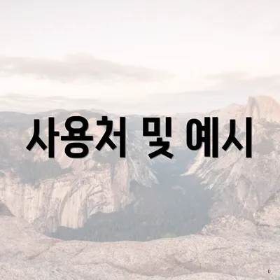 사용처 및 예시