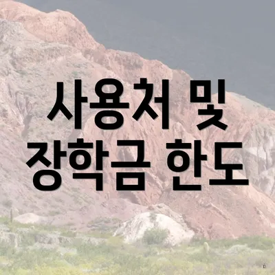 사용처 및 장학금 한도