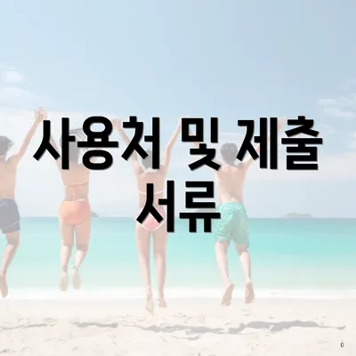 사용처 및 제출 서류