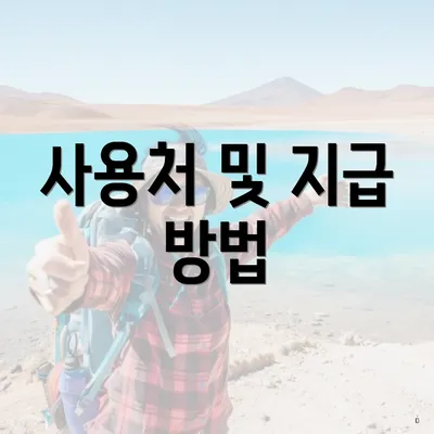 사용처 및 지급 방법