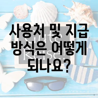 사용처 및 지급 방식은 어떻게 되나요?