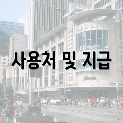 사용처 및 지급