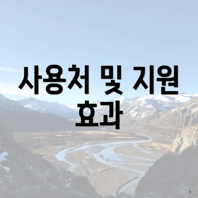 사용처 및 지원 효과