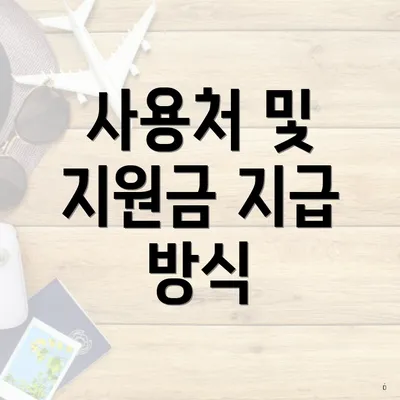사용처 및 지원금 지급 방식