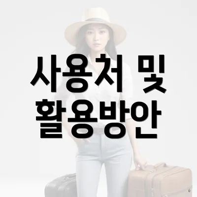 사용처 및 활용방안