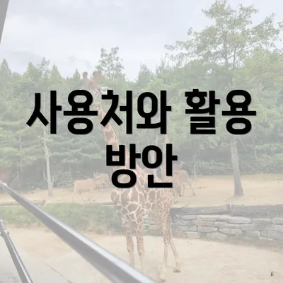 사용처와 활용 방안