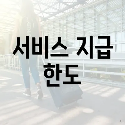 서비스 지급 한도