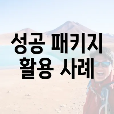 성공 패키지 활용 사례