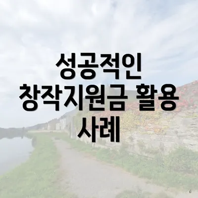 성공적인 창작지원금 활용 사례