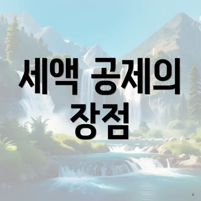 세액 공제의 장점