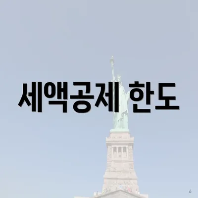 세액공제 한도