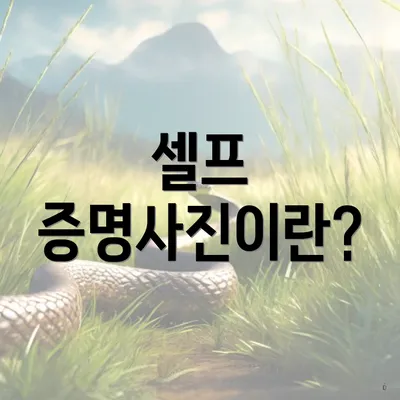 셀프 증명사진이란?