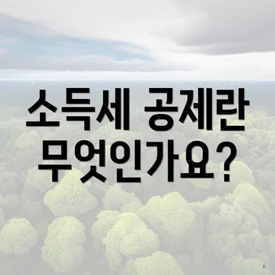 소득세 공제란 무엇인가요?